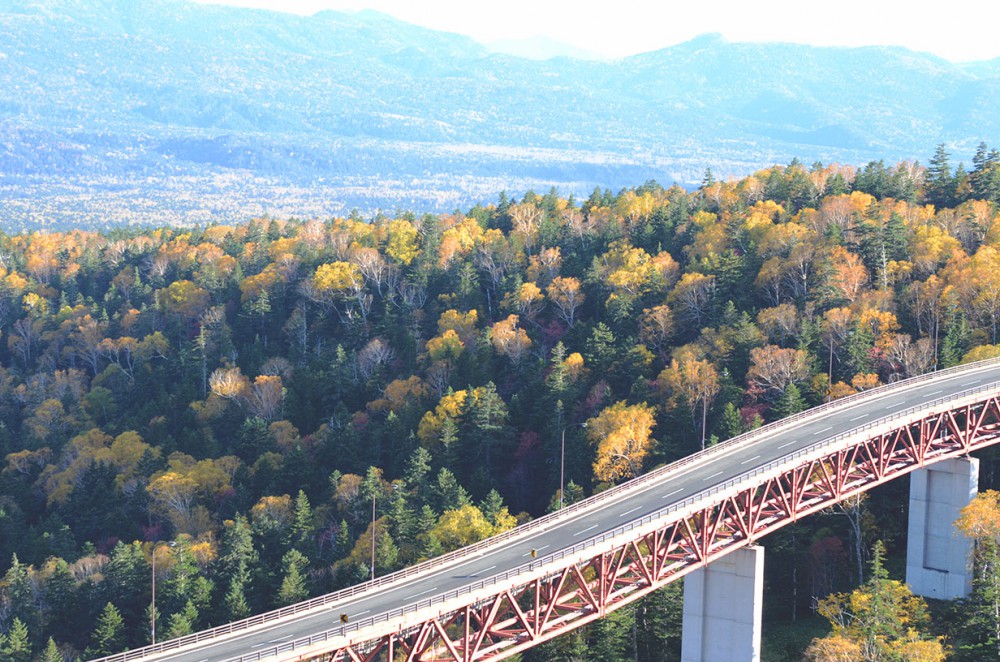 三国峠周辺へ紅葉を観に メガネ サングラス 時計の アルフェッタ Alfetta 北海道 帯広市のセレクトショップ